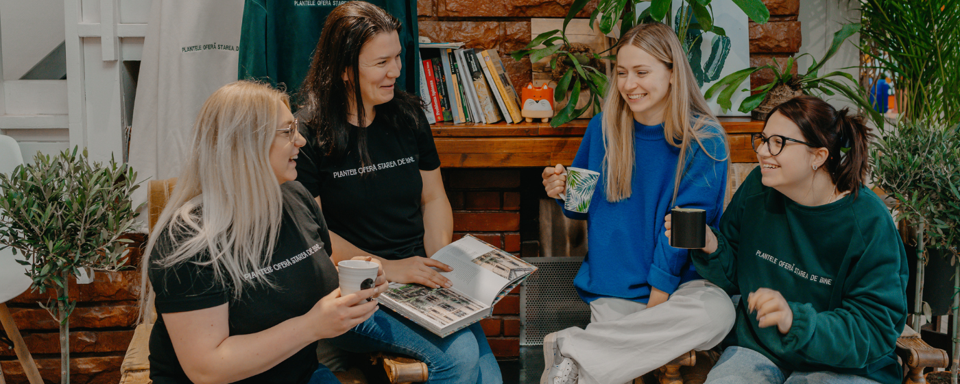 Fagura: AI-powered credit scoring widget to enhance small business access to finance in Romania