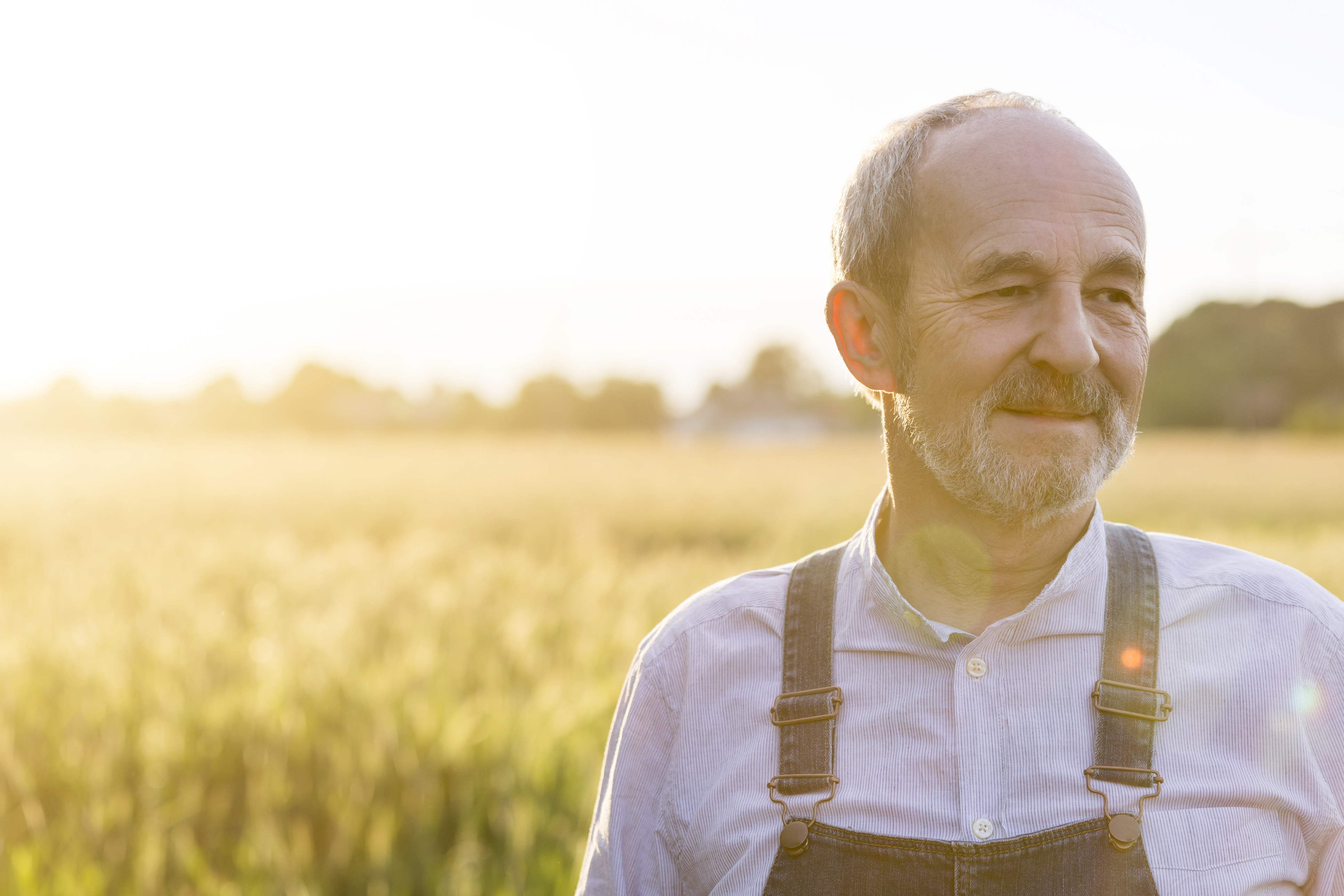 Direct Market: Connecting agricultural small businesses to buyers to digitize key food markets